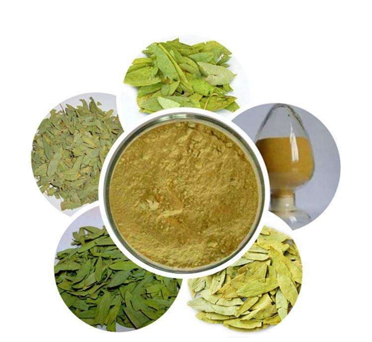 High quality Natural Senna leaf extract powder for Lose Weig